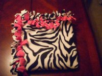 tie blanket zebra.jpg