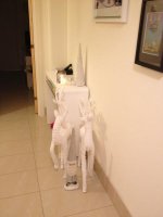 IMG_0030.jpg