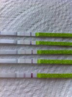 opk1.jpg