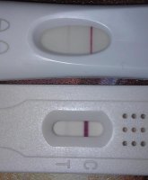 preg test pos.jpg