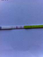 opk3.jpg