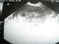 LO 12_13_11 002.jpg
