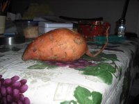 DSCF0082.jpg