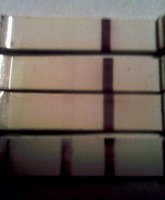 IMG_20111213_133959_edit0.jpg