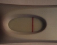 frer.jpg