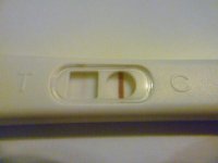 test dec 14th 005.jpg