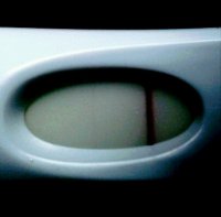 IMG_20111214_120613_edit0.jpg