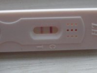 RSCN6805.jpg