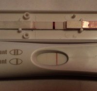 frer!!.jpg