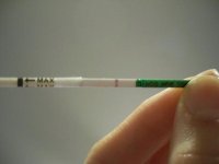 pic2.jpg