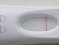 pic4.jpg