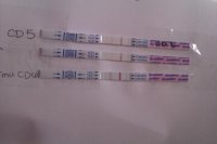 OPK.jpg