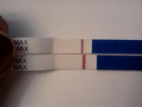 IMG_20111216_075326.jpg