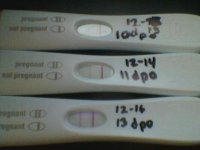 10 11 and 13 DPO Cyc 2 Preg Test Positives.jpg