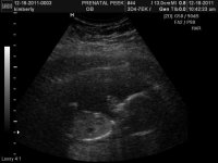 profile and a wave.jpg