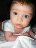 DSCF3508.jpg