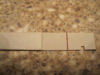 IMG_0529.jpg