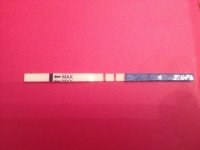 22dpo.jpg
