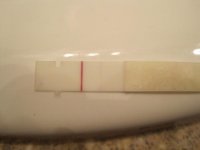 IMG_0533.jpg