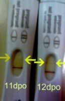 11and12.jpg