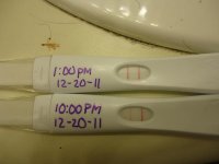 ovulation 003.jpg