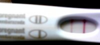 15dpo.jpg