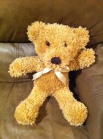 teddybear.jpg