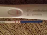 23dpo.jpg