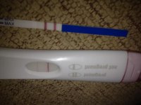 23dpo_copy.jpg