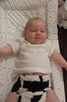 2m2wk bbcowsmile.jpg