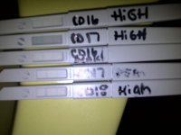 IMG-20111222-03593.jpg