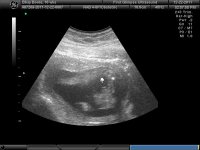 Gir 16 weeks 030.jpg