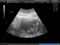 Gir 16 weeks 029.jpg