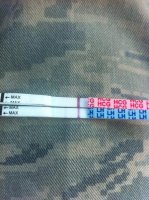 HPT&OPK1 - 24 Dec 11.jpg