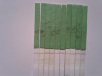 20111224_143717.jpg