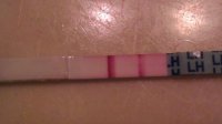 cd19.jpg