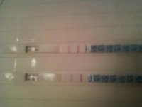 cycle 1-- DEC-- CD19.jpg