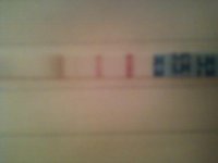 Cycle 1-- DEC-- CD19(2).jpg