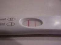 frer 2day x.jpg