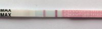 29-12 1.30.jpg