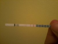 IMG_20111229_130133.jpg
