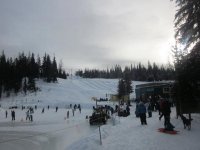 silverstar2.jpg