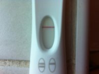 IMG_0090[1].jpg