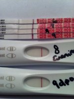 9dpo line up.jpg