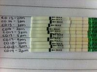 Progression cd 13 - 19.jpg