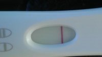 IMAG1049.jpg
