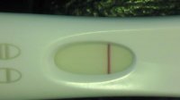 IMAG1050.jpg