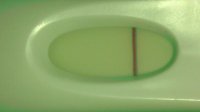 IMAG1051.jpg