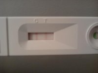 IMG_20120104_131123.jpg