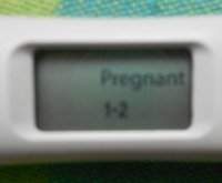DSCN7654.jpg